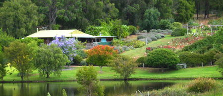 Lavender And Berry Farm - Holiday Find 0