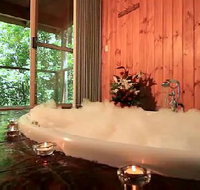 Tree Houses Of Montville - Holiday Find