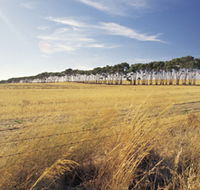 Port Wakefield Motel - Holiday Find