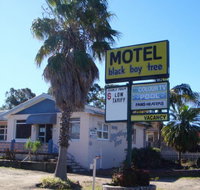 Blackboy Tree Motel - Holiday Find