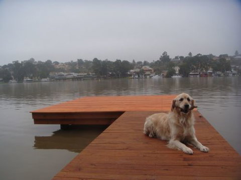 Eleven From The Left - Holiday Find 0