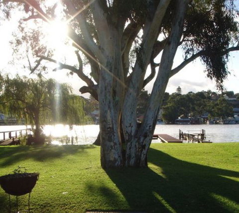 Eleven From The Left - Holiday Find 1