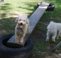 Beenleigh Pet Motel