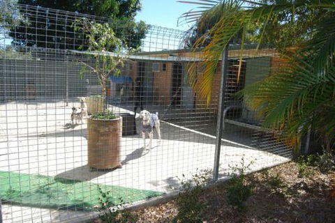 Beenleigh Pet Motel - Holiday Find 4
