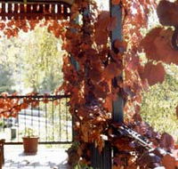 The Vines Motel amp Cottages