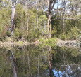 Sanctuary House Resort Motel - Healesville - Holiday Find 5