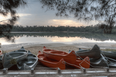 Boambee Bay Resort - Holiday Find 5