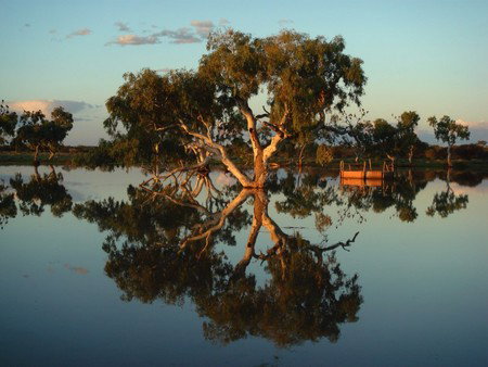 Wooleen Outback Station Stay - Holiday Find 3