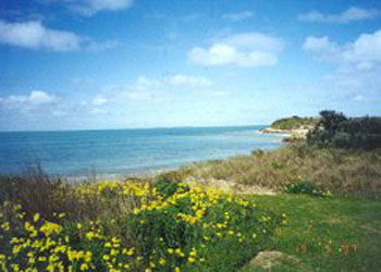 Southern Ocean Tourist Park - Holiday Find 1