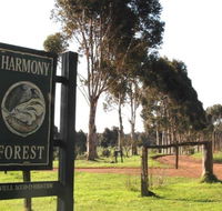 Harmony Forest
