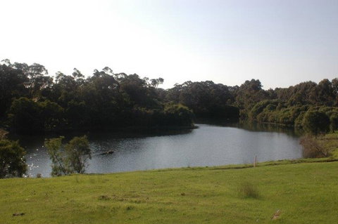 Harmony Forest - Holiday Find 1