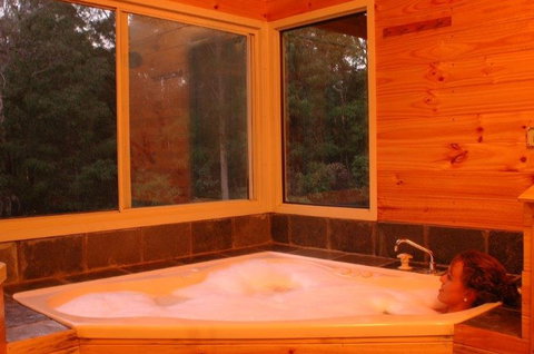 Harmony Forest - Holiday Find 3