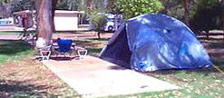 Wintersun Caravan Park - Holiday Find 3