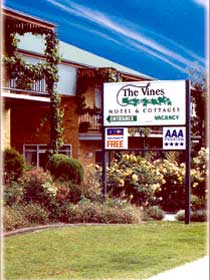 The Vines - Holiday Find 0