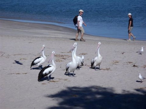 Kalbarri Accommodation Service - Holiday Find 5