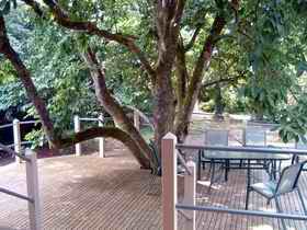 Magnolia House Marysville - Holiday Find 0