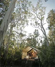 Paperbark Camp - Holiday Find 0