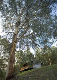 Noojee VIC Holiday Find