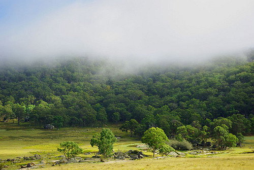 Deepwater NSW Holiday Find