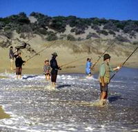 Flippers Beachouse - Holiday Find