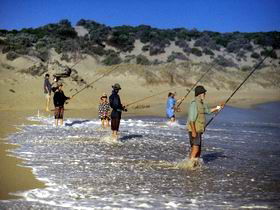 Flippers Beachouse - Holiday Find 0
