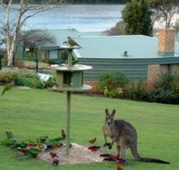 Gipsy Point Lakeside