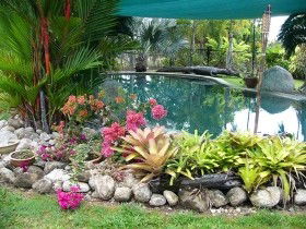 Daintree Wild Bed And Breakfast - Holiday Find 0