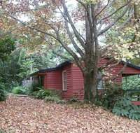Turkeys Nest Rainforest Cottage - Holiday Find