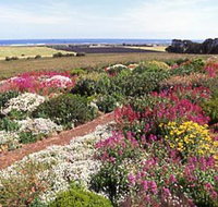 Tower Hill House - Holiday Find