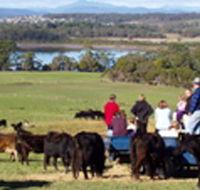 Bonny Brae