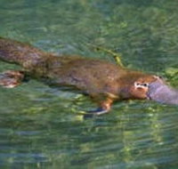 Eilean Donan Gardens - Holiday Find