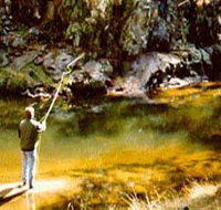Markdale Homestead - Holiday Find
