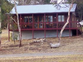 Ivybrook Vineyard Cottage - Holiday Find 0