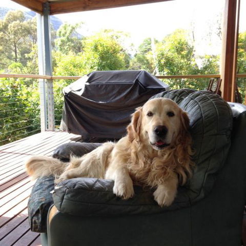 Ant's Halls Gap Holiday House - Holiday Find 7