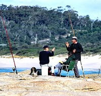 Binalong Bungalows