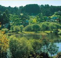 Possum Cottage On The Lake - Holiday Find