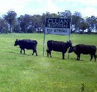 Cluan Homestead