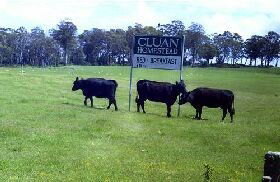 Cluan Homestead - Holiday Find 0