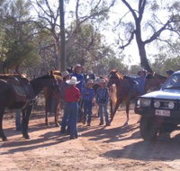 Evening Star Tourist Park - Holiday Find