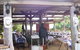 Spurwood Springs Log Cabin Venue - thumb 0