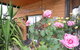 Balgownie Estate Vineyard & Spa - thumb 2