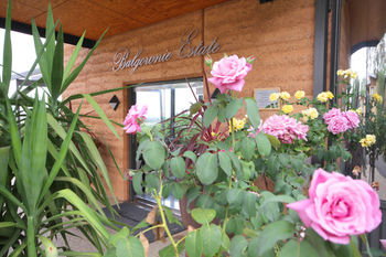 Balgownie Estate Vineyard & Spa - Holiday Find 2