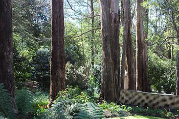 Adeline Bed And Breakfast - Holiday Find 8
