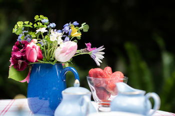Adeline Bed And Breakfast - Holiday Find 21
