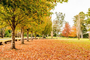 Retreat At Wisemans - Holiday Find 12