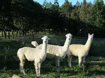 Beerwah QLD Holiday Find