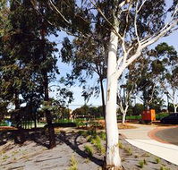 Box Hill Studios at Canterbury Gardens