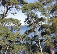 The Edgewater Bed amp Breakfast - Holiday Find