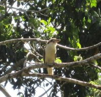 Sunshine Valley Cottages - Holiday Find