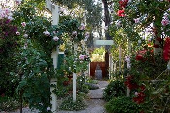 Holly Lane Mews - Holiday Find 40